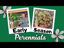 Best selling early Spring perennials PLUS 2 Big announcements and updates