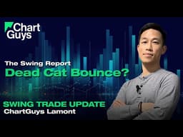 Monthly Higher Low or Dead Cat?