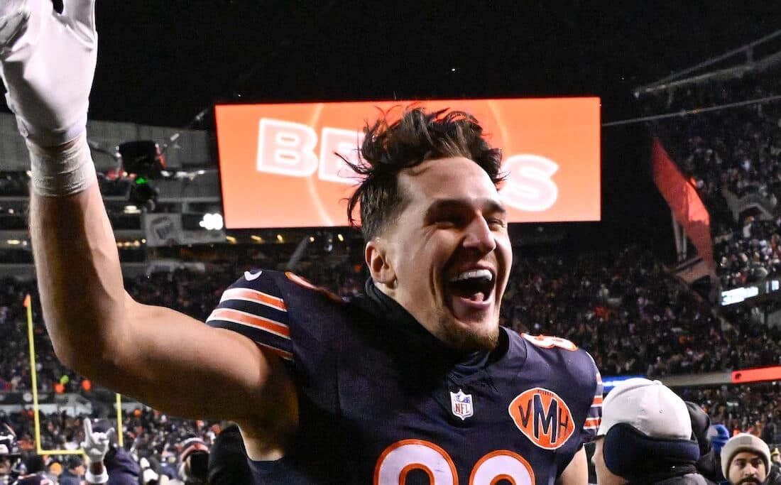 Next Chicago Bears Stadium Odds: Goodell Moves Market