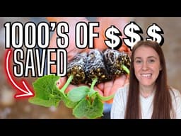 25 Seed Starting Mistakes That Cost Me $1000’s (Science Explained)