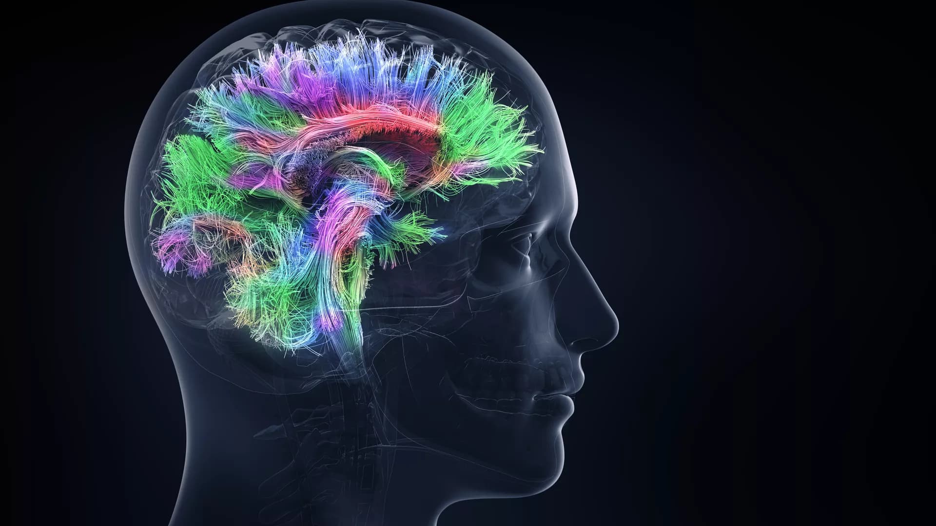 Digital Behavior Patterns and ADHD Symptoms in Late Adolescents ...