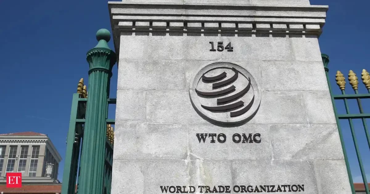 WTO talks run overtime as Brazil, US clash on ecomm moratorium - The Economic Times
