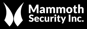 Facial Recognition Camera Functions | Mammoth Security