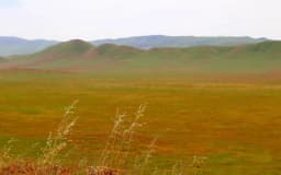 30x30 Updates and the Need for Wildlife Corridors