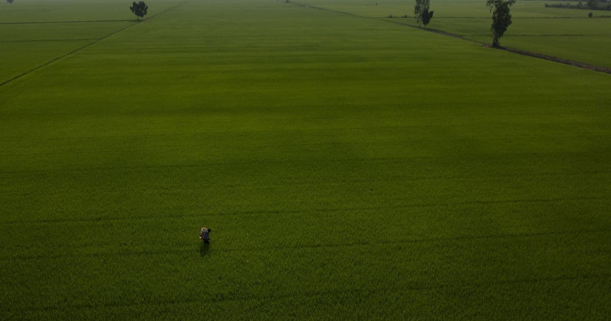 Balancing Without Allying: Vietnam’s Middle-Power Strategy Amids U.S. - China Rivalry | The Belfer Center for Science and International Affairs