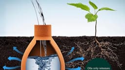Olla (Terracotta) Water Pots - by Michael Erlewine - Spirit Grooves