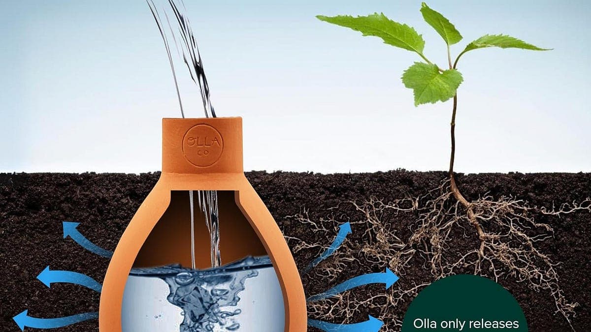 Olla (Terracotta) Water Pots - by Michael Erlewine - Spirit Grooves