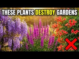 9 Beautiful Perennials I'd NEVER Plant Again After 40 Years of Gardening