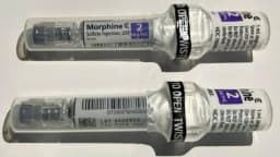 Mislabeled Morphine Injection Lot Recalled Nationwide Over ...