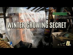 Greenhouse Inside a Greenhouse — My Winter Seed Starting Setup