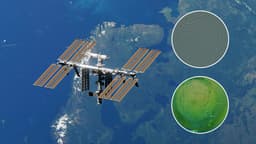 Brit scientists send WORMS into space on groundbreaking mission to help humans explore the Moon and beyond