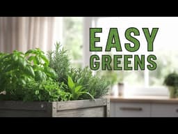 6 Indoor Gardening Tips for a Year-Round Harvest