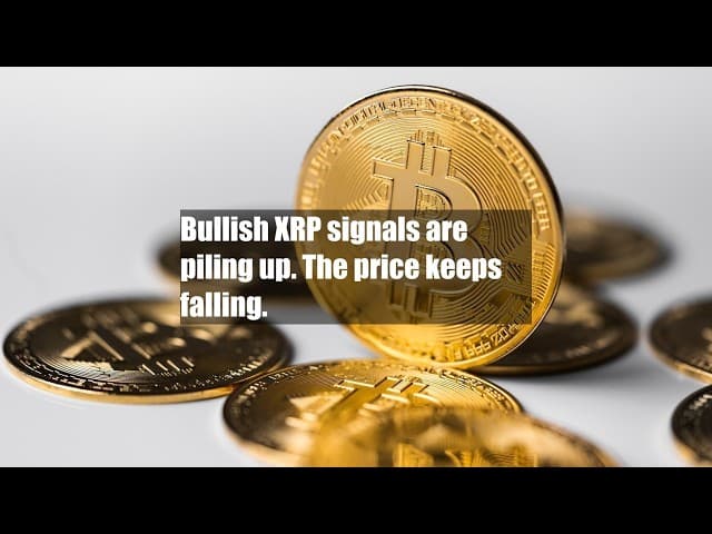 XRP Mixed Post-$1.549 ATH on Whale Accum
