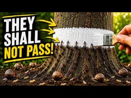 3 Methods to Eliminate Ants, Aphids & Garden Pests Naturally