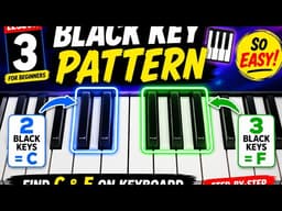 Piano Basics for Beginners | Black Key Groups Made Simple 🎹