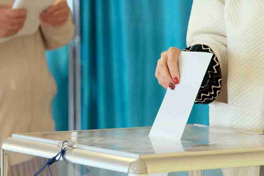 The Winnebago County Primary Election Results