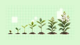 The long game: How brand equity fuels future performance
