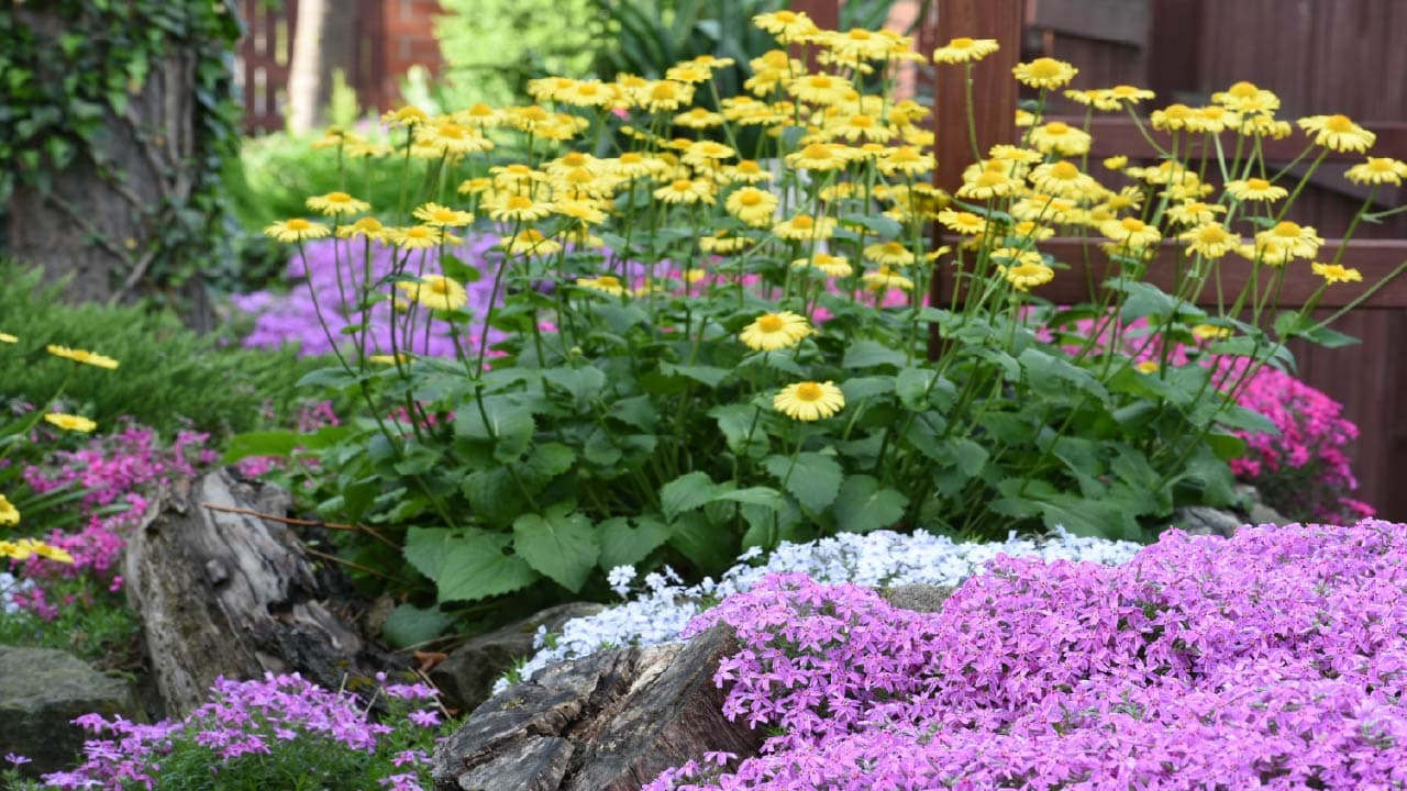 Landscaping Maintenance Tips: 5 Essentials for a Healthy ...