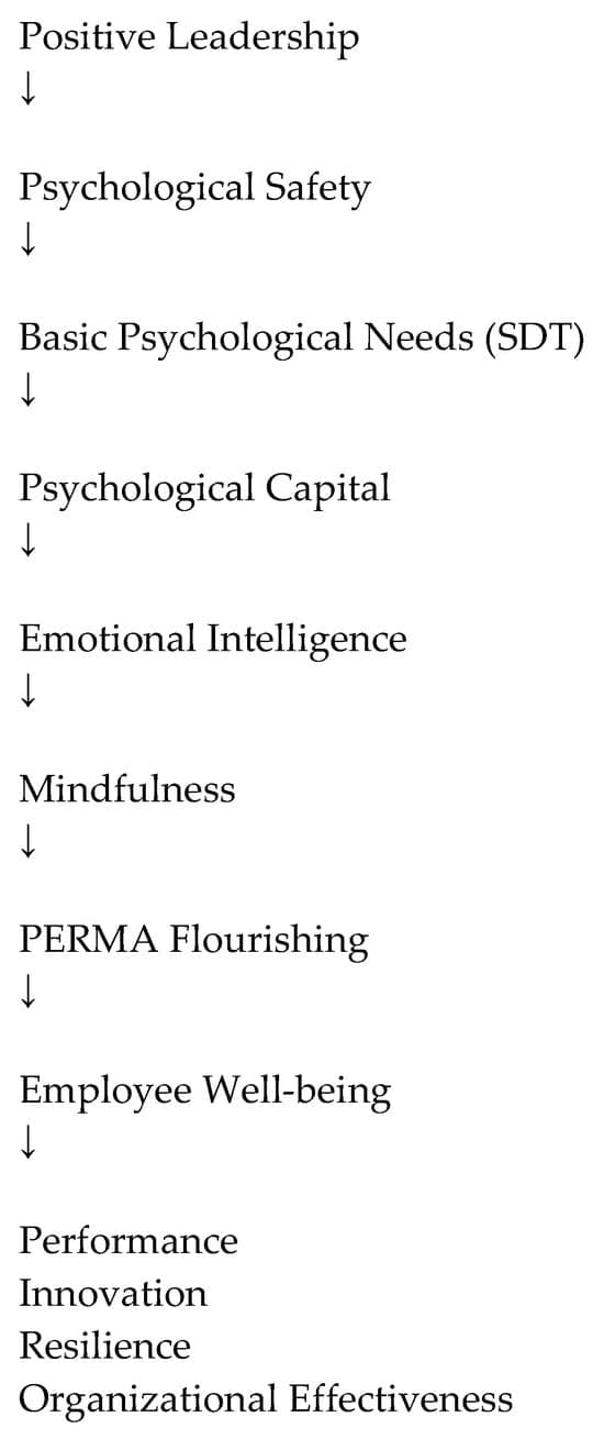 Psychological Capital, Flourishing, Leadership, and ...