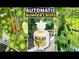 Automatic Fertilizing: The System Behind My BEST Garden Ever!
