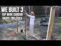 Our Orchard Is Becoming A Food Forest One Step At A Time - Part 1 of 2