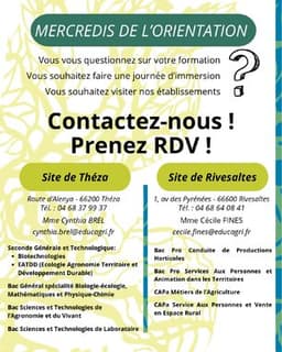 Blog - Orientation - COLLEGE CERDANYA