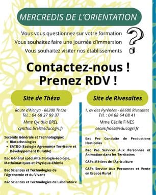 Blog - Orientation - COLLEGE CERDANYA