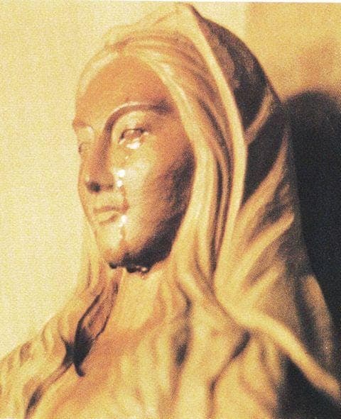 A message from the Virgin Mary via Sr. Agnes Sasagawa - take heed