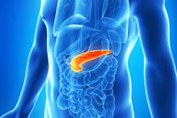 Do Antiparasitics Help Treat Pancreatic Cancer?