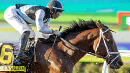 San Diego Handicap Odds: Preakness Winner Journalism ...