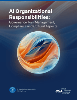 AI Risk Management, Governance, and Cultural Aspects