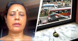 Mob justice in Bengal? Mahua Moitra's siege and the High ...