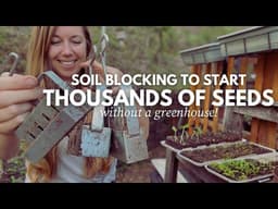Starting ALL my seeds in Soil Blocks to save space!