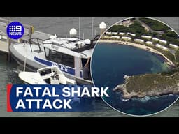 Man fatally attacked by great white shark | 9 News Australia