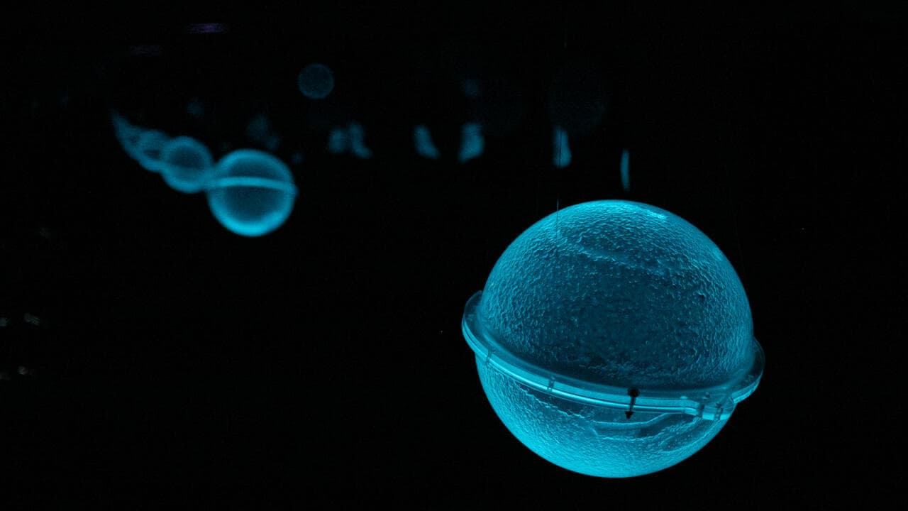 A journey to the bottom of the ocean, beneath Paris’s skyscrapers - RFI