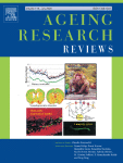 Apolipoprotein E4 and synaptic dysfunction in Alzheimer's ...