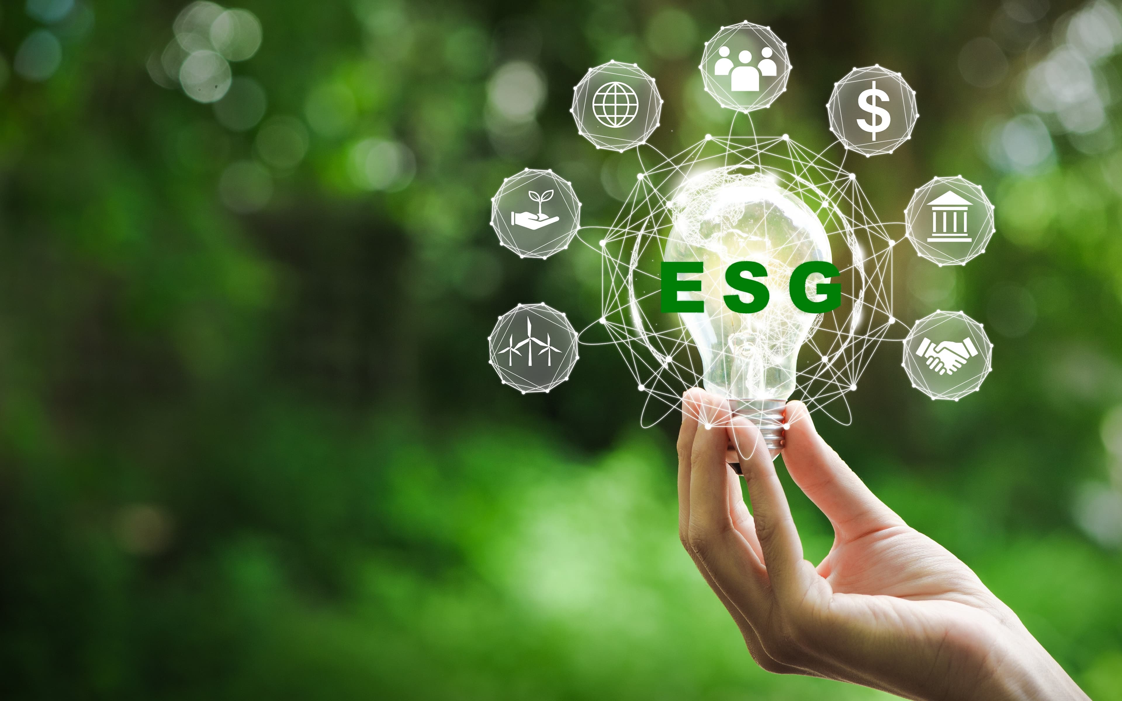 ​Guide to ESG Reporting Standards (and the Skills ...