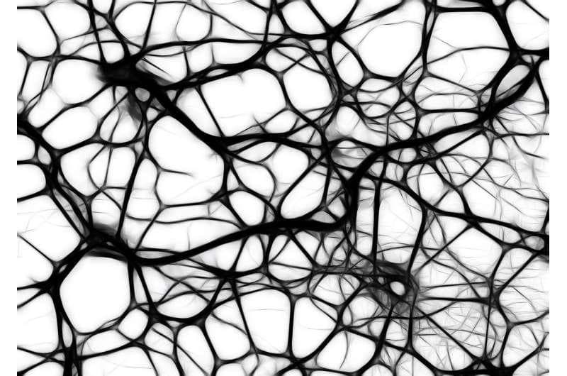 Alzheimer's Access, Biomarkers, Inflammation, and Biological Heterogeneity