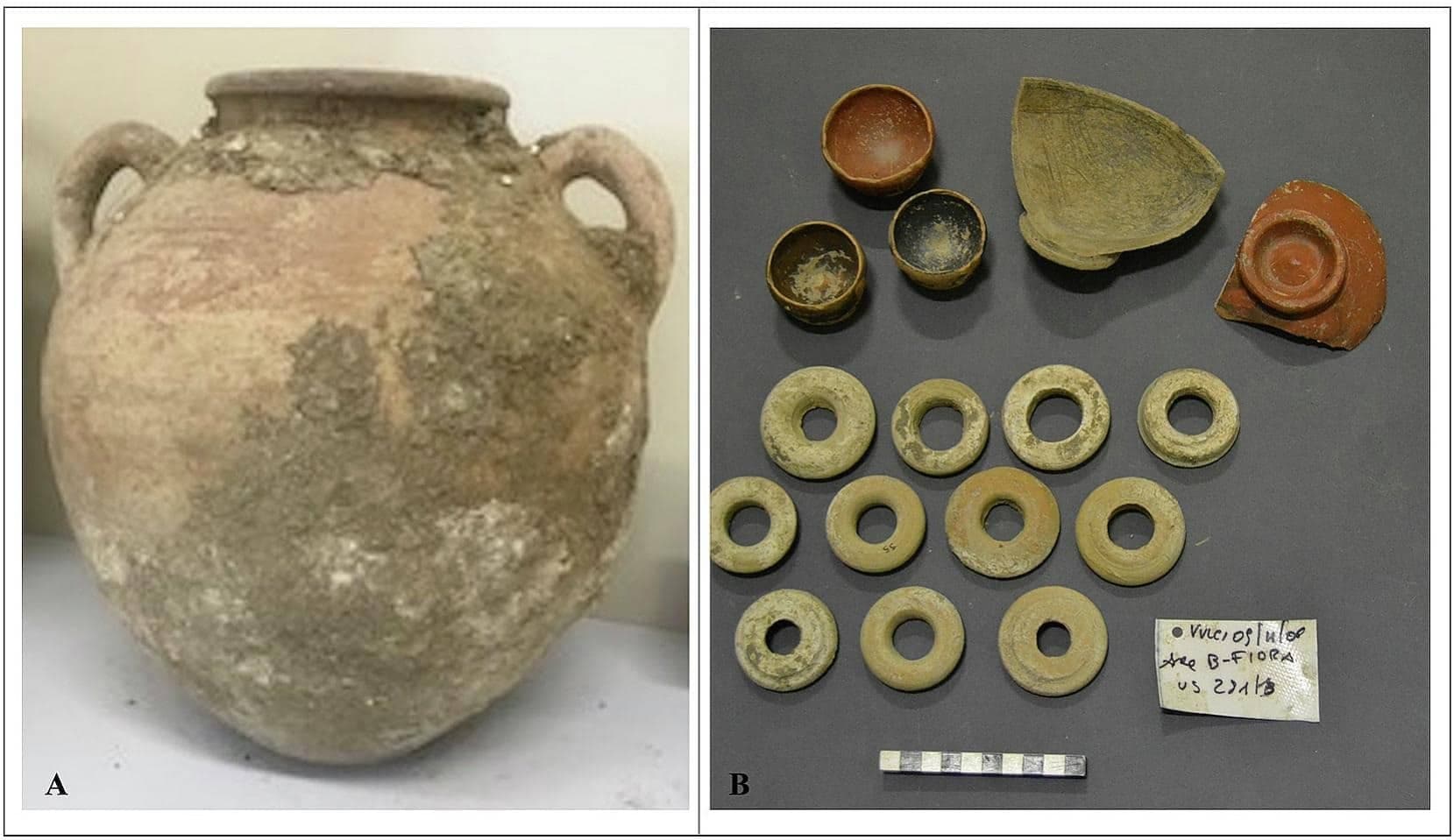 Ancient Amphorae Reveal How Etruscans Produced Their ...