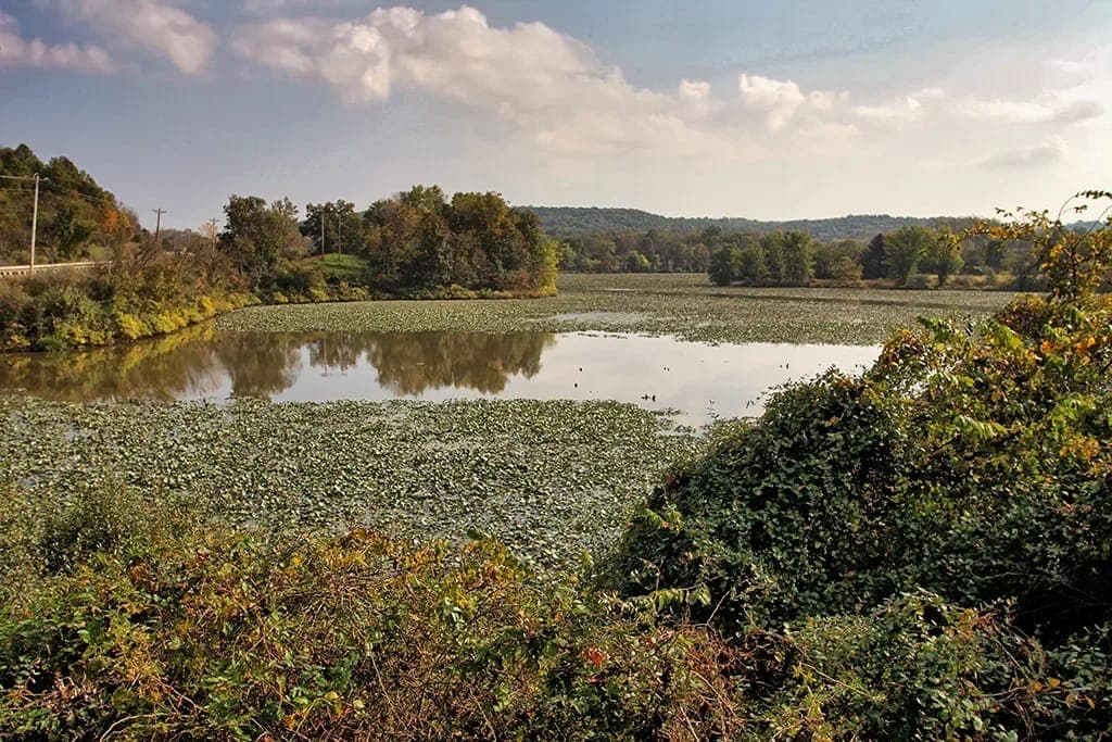 Ohio makes $314 million leasing state lands for fracking