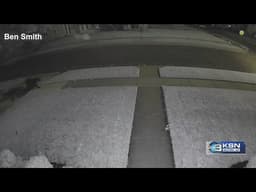 Bear sightings in Chanute