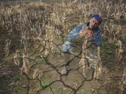 Why Super El Niño is a wake-up call for communities to adapt to climate chaos 