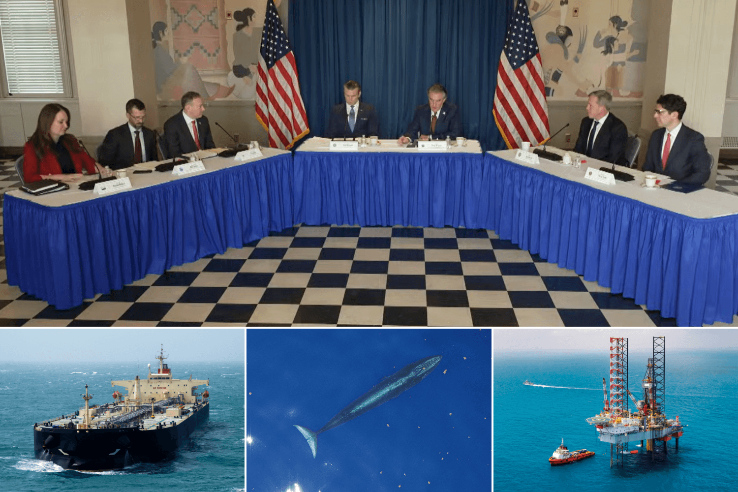 MAGA God Squad Sentences Critically Endangered Whale Species to Extinction