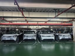 Global EV leaders, domestic laggards: What China and ...