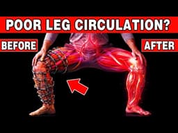 Over 50? 5 Exercises to Improve Hips & Circulation (Stop This Daily Mistake) | Senior Wellness