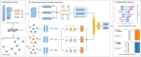 MSGSNet: sequence learning enhanced with multi-scale ...