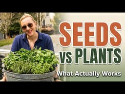 Starting an Herb Garden from Scratch (Seeds vs Plants — What Actually Works)