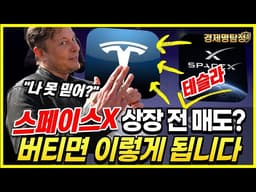 스페이스X 상장 전 테슬라 주식 팔아야 할까? 버티면 이렇게 됩니다
