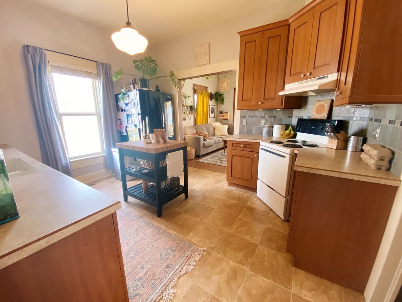 431 N Whitcomb St, Fort Collins, CO 80521