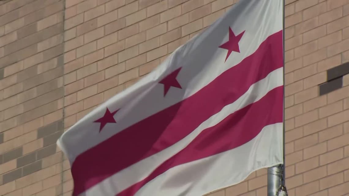 What does DC delegate to Congress do?